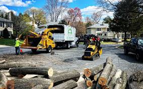 Best Tree Risk Assessment  in Church Hill, MD