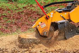 Best Lawn Renovation and Restoration  in Church Hill, MD