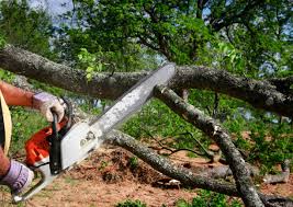Best Lawn Pest Prevention  in Church Hill, MD