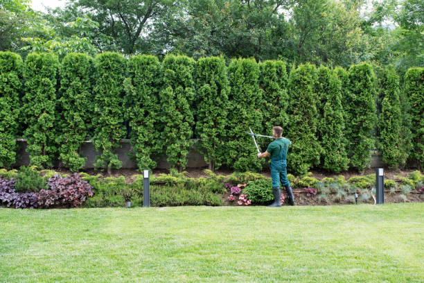 Best Utility Line Clearance  in Church Hill, MD
