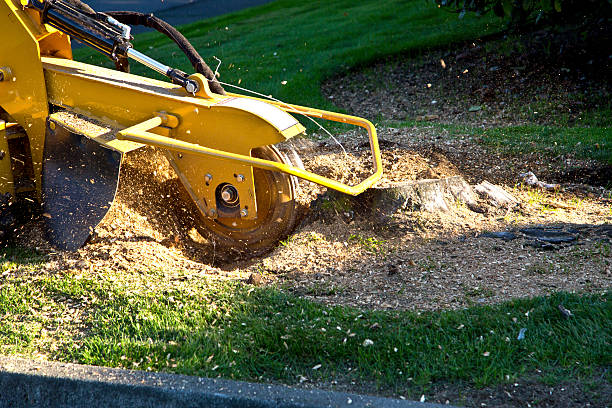 Best Artificial Turf Installation  in Church Hill, MD